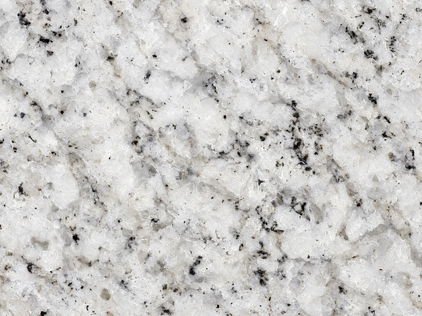 Dallas White granite — White granite, gray movement